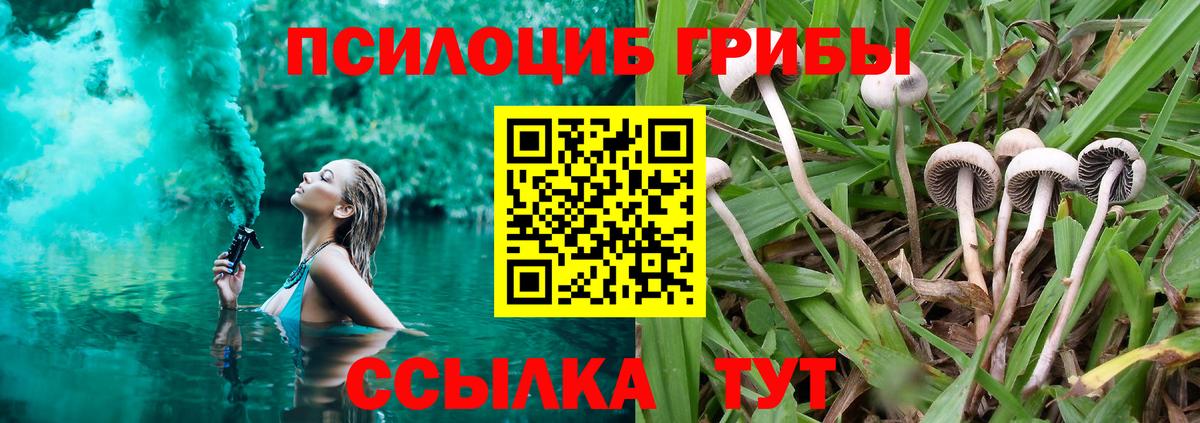 Псилоцибиновые грибы мицелий  наркошоп  Людиново  Галлюциногенные грибы Cubensis  Вход с VPN 
