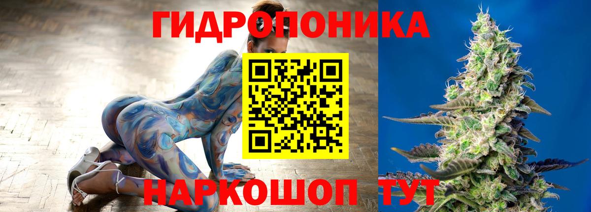 ГАШ Людиново